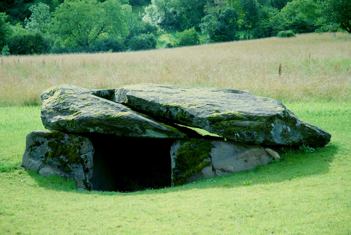 La cave aux fées 2007