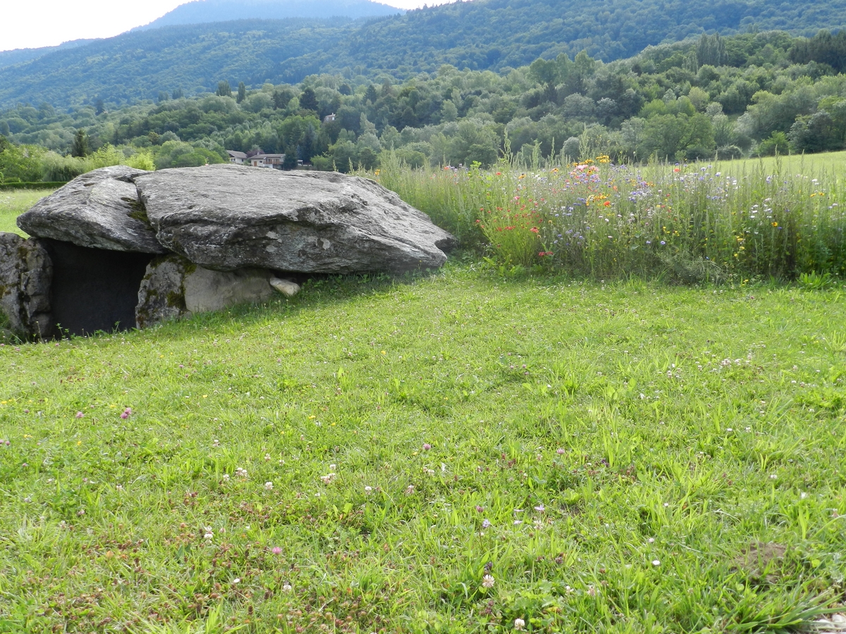 La cave aux fées 2011