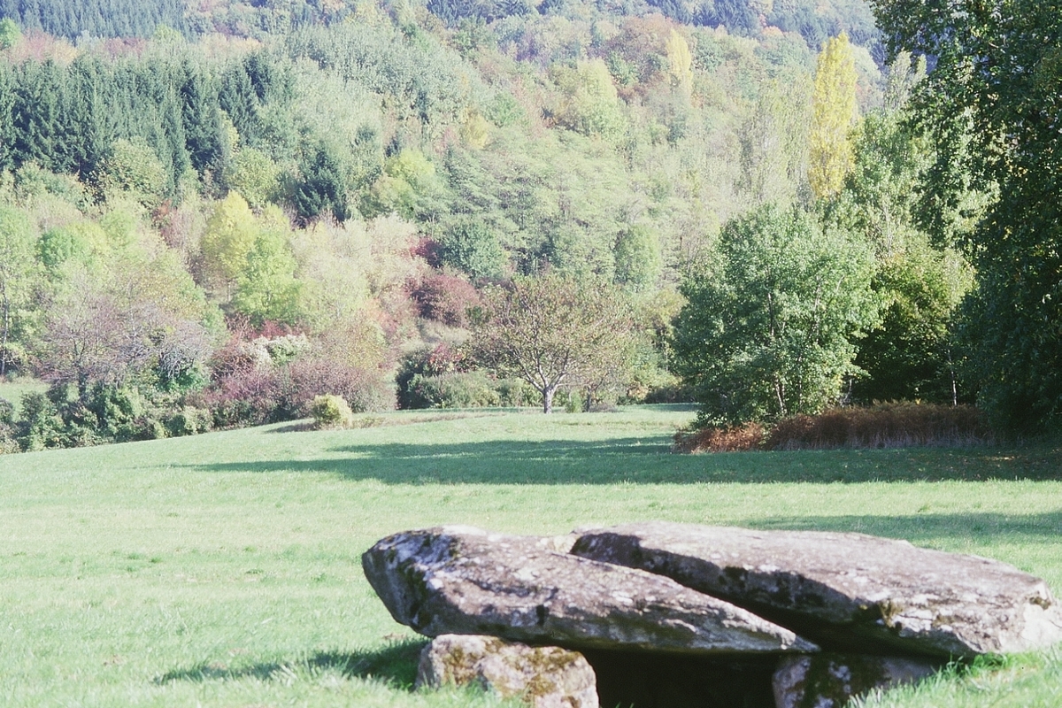 La cave aux fées 2002