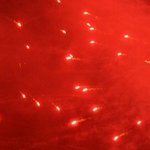 Fête de la musique 51