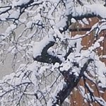 Monument Parvis de l Eglise 9