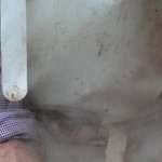 Fête de la Maude 10