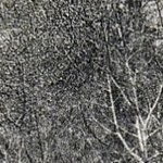 La Pension Les Cerisiers 7