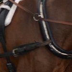 Les Virades de L Espoir 32