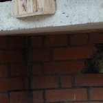 La Maison de la Servette 3