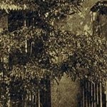 La Pension Lacorbière 2