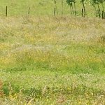 La Chapelle de Chermont 1