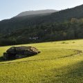 Les vielles pierres de Saint-Cergues - non datées