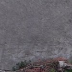 Les Vieilles Pierres de Saint Cergues 46