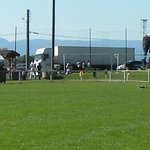 Fête de la musique 34