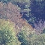 La Chapelle de Chermont