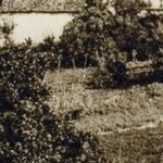 Le Village du Bois 6