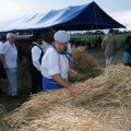 Fête de l'été 2003
