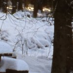 La Maison de la Servette 5