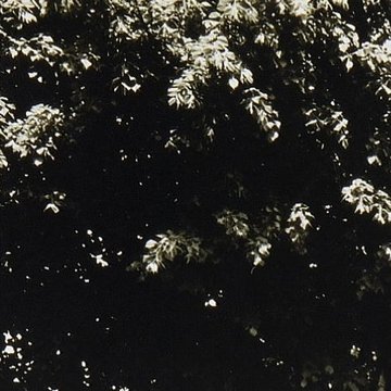 La Pension des Fontaines