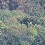 La Chapelle de Chermont 1