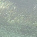 La Maison de la Servette 2