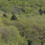 La Chapelle de Chermont 1