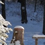 La Maison de la Servette 4