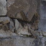 Les Vieilles Pierres de Saint Cergues 16