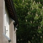 La Chapelle de Chermont 7