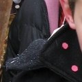 Carnaval 2007