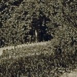 Le Village du Bois 8