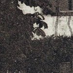 La Pension Les Cerisiers 3