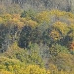 La Chapelle de Chermont 5