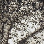 La Pension Les Cerisiers 1