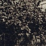 La Pension Les Glycines 1