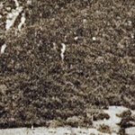 Le Village du Bois 5