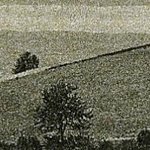 L'Hôtel de Montauban 13