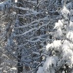 La Maison de la Servette 1