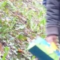 Chasse aux oeufs 2012