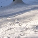 La Maison de la Servette 3