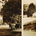 La Pension Les Cerisiers