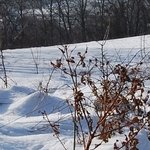 La Chapelle de Chermont 2