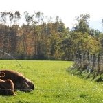 Monument des Bois Davaud 9