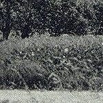 Croix de Chandouze 1