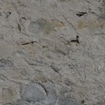 La Maison de la Servette 1