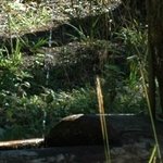 La Maison de la Servette 8