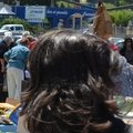 Fête de l'été 2012