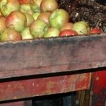 Fête de la Maude 18