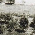 Vues générales