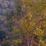 La Chapelle de Chermont 4