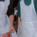 Fête de la Maude 10