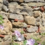 Les Vieilles Pierres de Saint Cergues 23