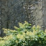 Les Vieilles Pierres de Saint Cergues 38