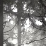 La Maison de la Servette 6